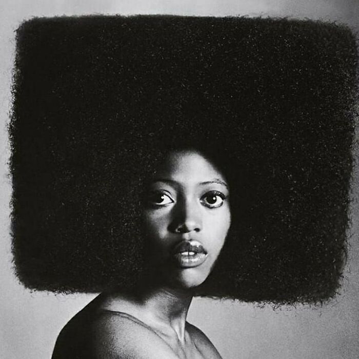 Black and white portrait of a woman with a large square-shaped afro, showcasing a bizarre throwback moment from the past.