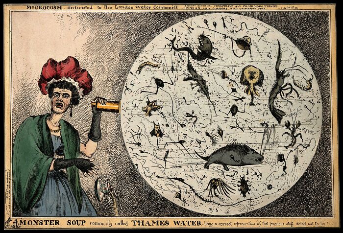 Vintage cartoon of a woman alarmed by monster soup, a bizarre throwback moment reflecting 19th-century Thames water concerns.