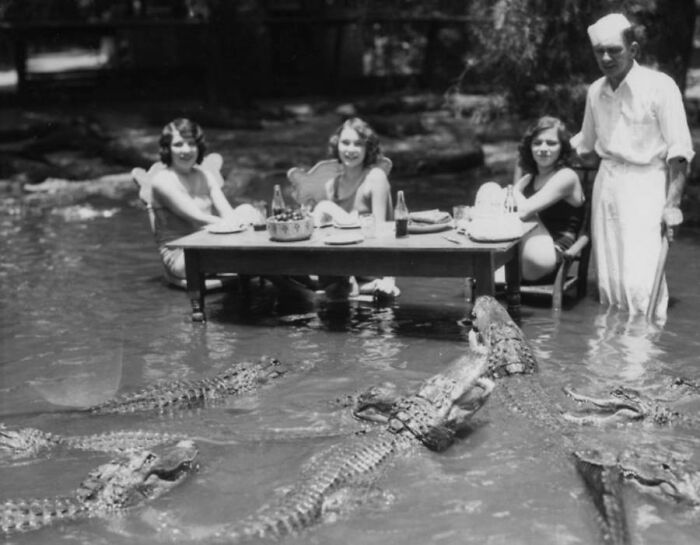 Three women and a man dining at a table in the water surrounded by alligators, a bizarre throwback moment from the past.