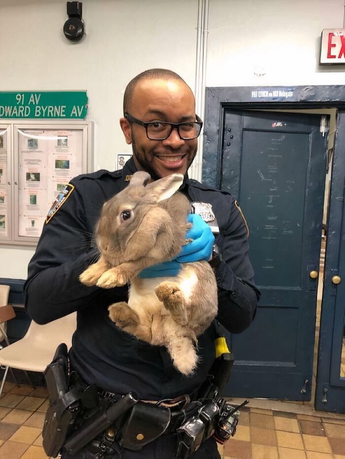 Police officer smiling, holding a rescued rabbit, showcasing animals saved from awful conditions and given a second chance.