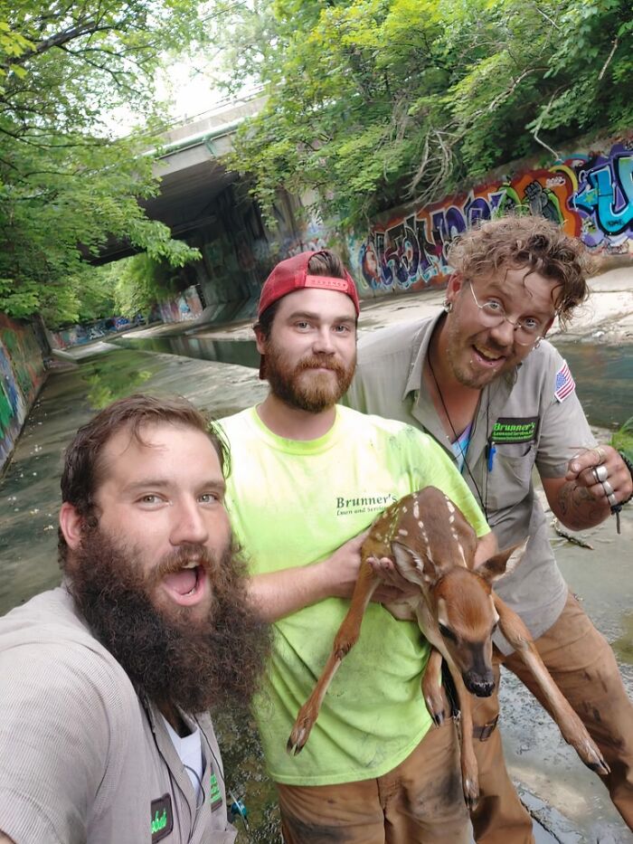 Three men rescuing a fawn in an urban drainage area, showcasing animals saved from awful conditions and given a second chance.