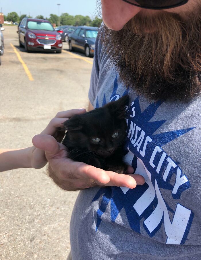 Man with a beard gently holding a rescued black kitten in a parking lot, showing animals saved from awful conditions and given a second chance