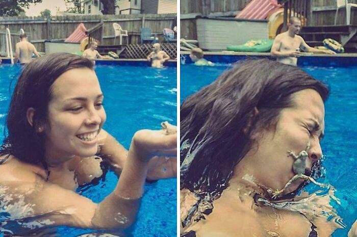 Woman in pool experiencing funny regret moment as a small frog jumps from her hand onto her face in a backyard setting.