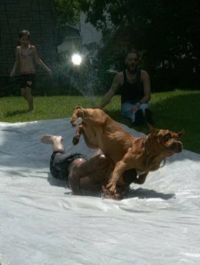 Man falling on slip and slide with dog jumping over him, capturing a funny regret moment in a sunny backyard setting.