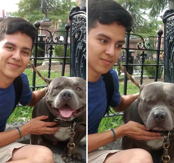 Young man with a pit bull dog in a park showing funny regret moments through changing expressions.