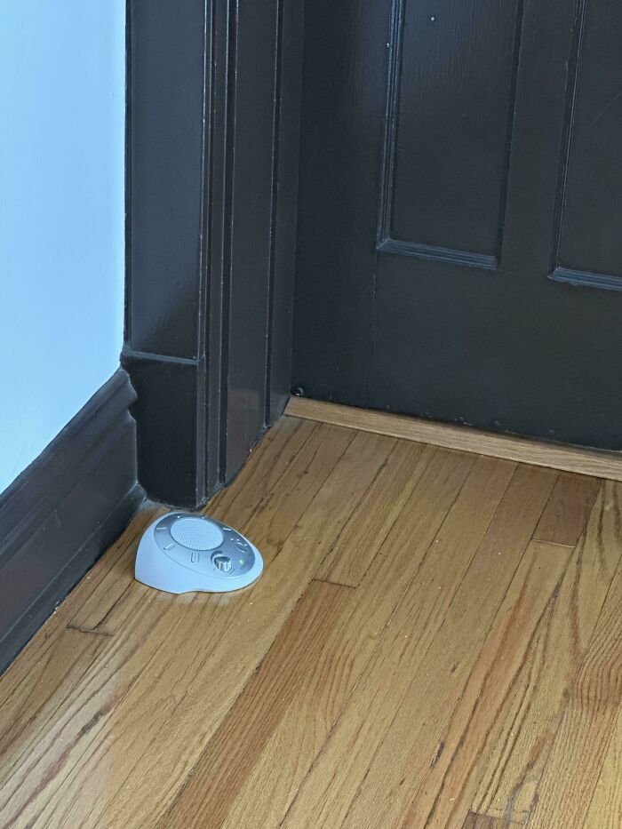 Small white device placed on wood floor near dark door and trim, illustrating unusual neighbors in remote living spaces.