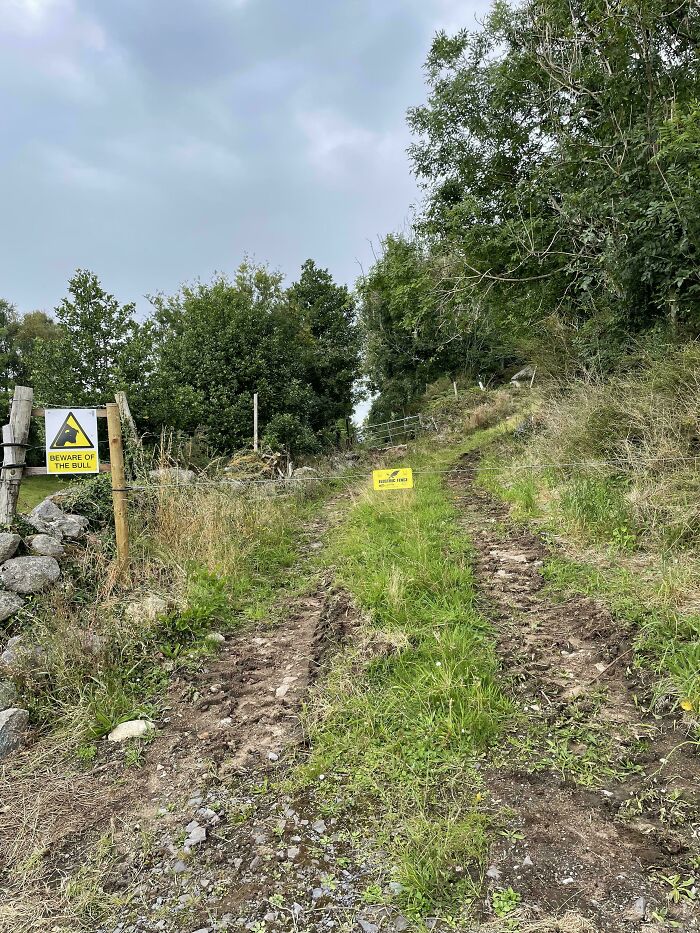 Rural dirt path with warning signs including beware of the bull, surrounded by greenery in a remote neighbor setting.