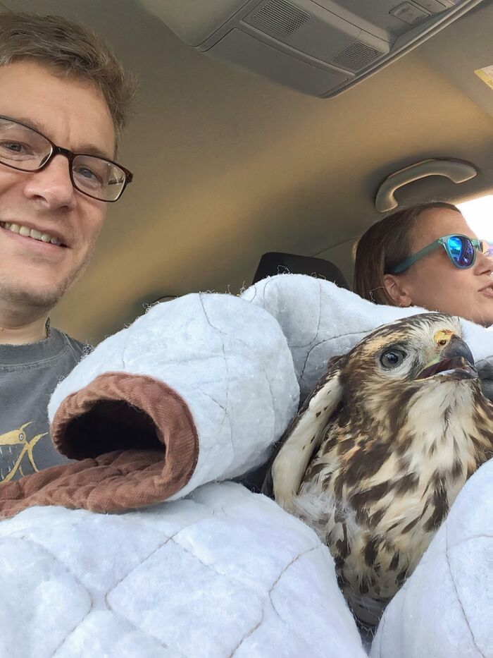Two people in a car with a rescued bird wrapped in protective gloves, highlighting animals saved from awful conditions.