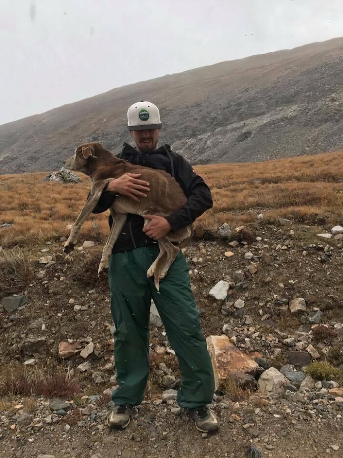 Man carrying a rescued dog in a mountainous area, highlighting animals saved from awful conditions and given second chances.