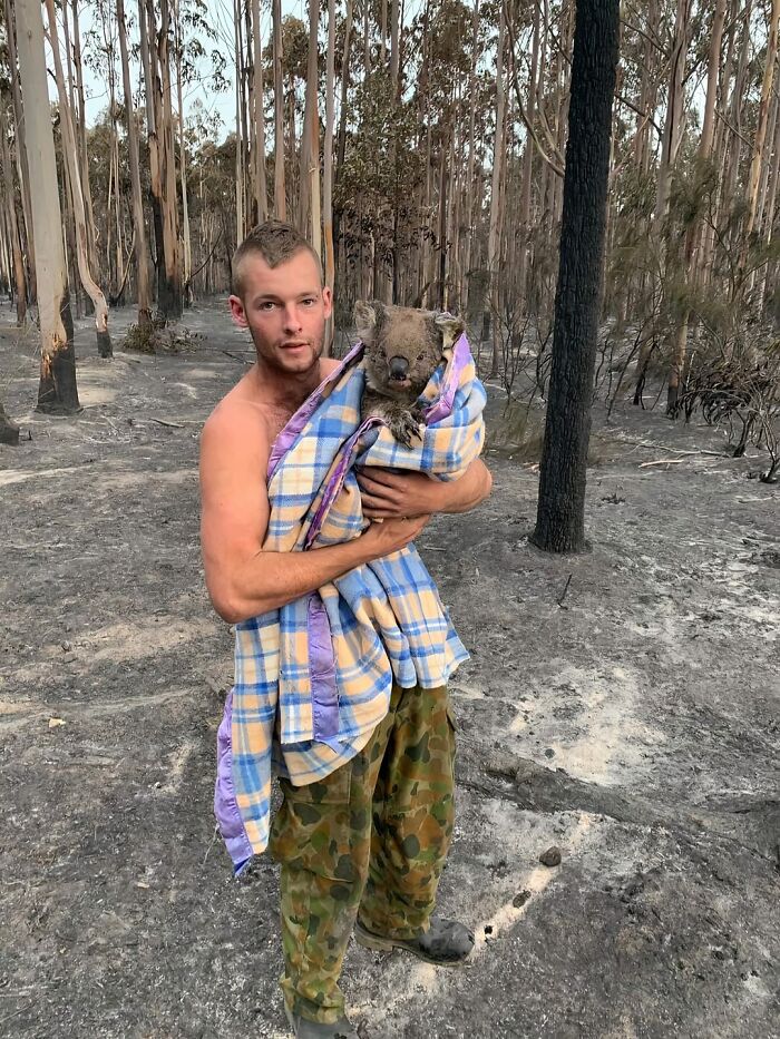 Man holding a koala wrapped in a blanket after rescue in a burnt forest, showcasing animals saved from awful conditions.