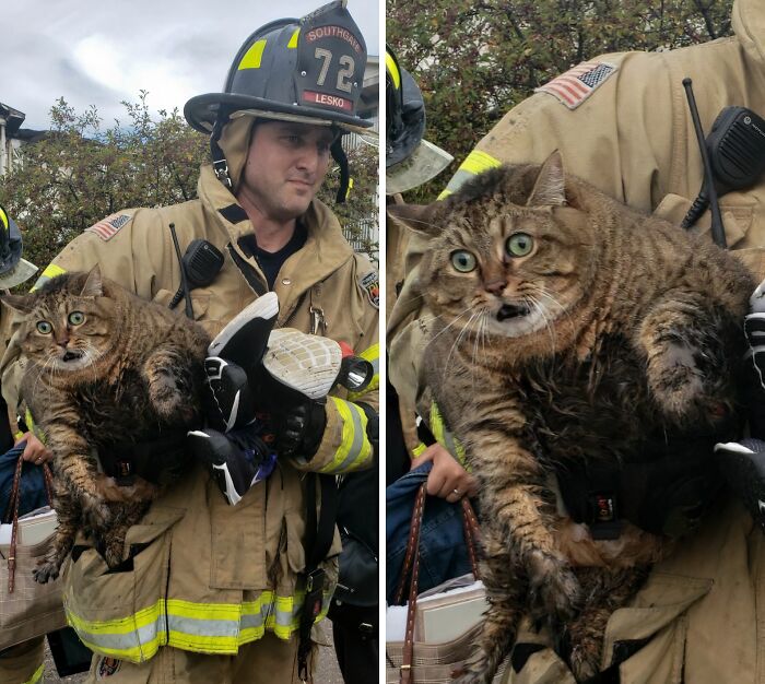 Firefighter rescuing a scared, muddy cat from awful conditions, giving the animal a second chance in life.