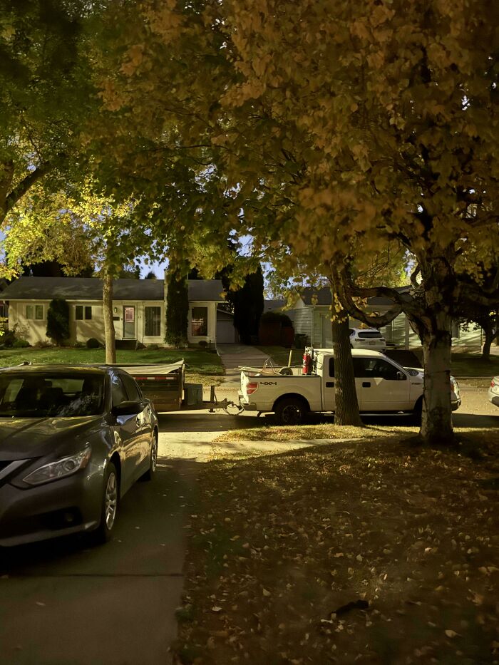 Quiet suburban street at night with cars parked by autumn trees, illustrating neighbors that make you move to the middle of nowhere.