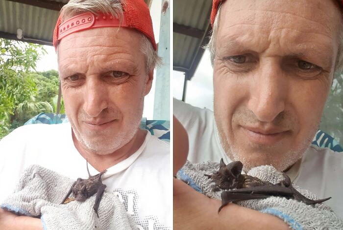 Man gently holding a rescued bat wrapped in a towel, symbolizing animals saved from awful conditions and given a second chance.