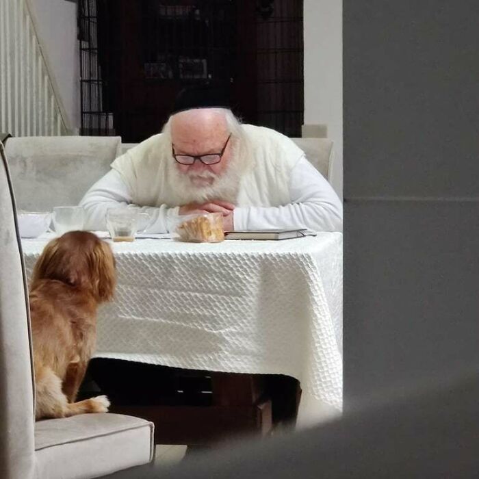 Elderly man with glasses leaning on a table across from a dog in a scene that might mess with your tired brain.