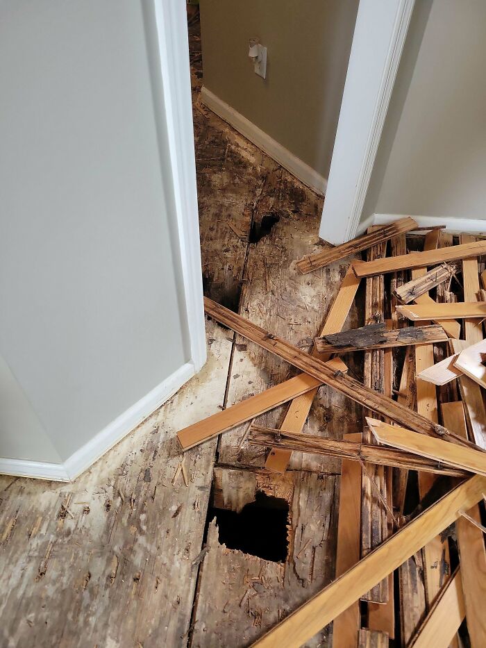 Damaged wooden floorboards with holes and broken planks scattered around in a home renovation or repair scene.