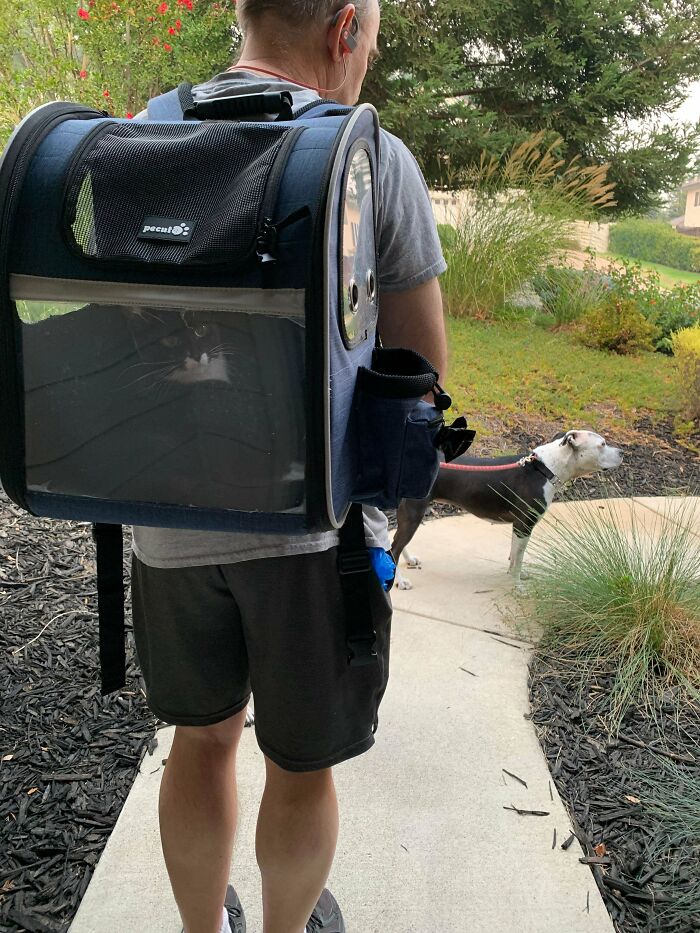 Man carrying cat in backpack carrier with dog on leash outside, showing dads and pets they swore they never wanted but love