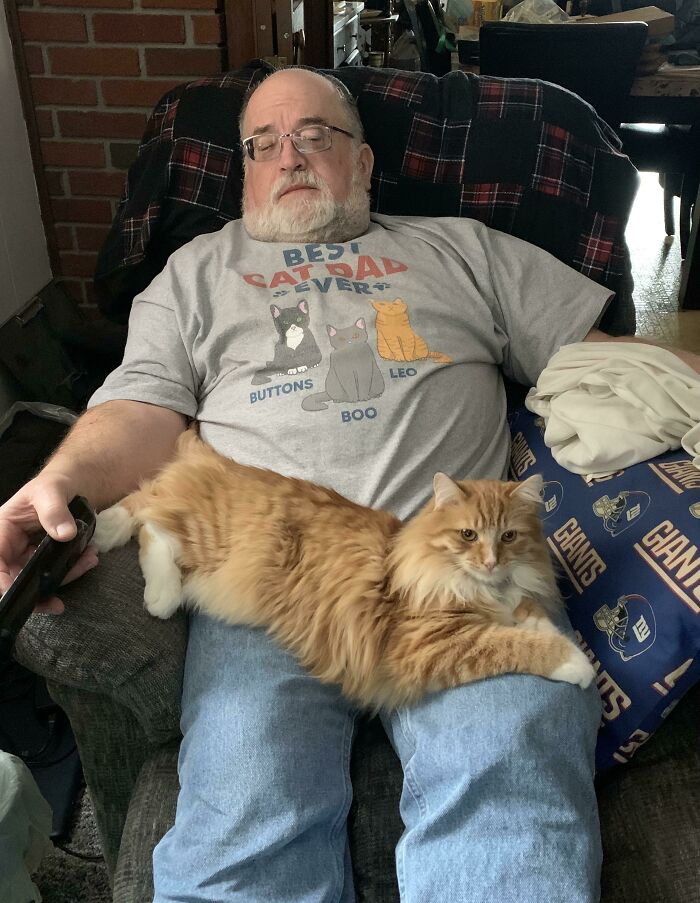 Dad relaxing on a chair with an orange cat on his lap, showcasing loving moments with pets they never wanted.