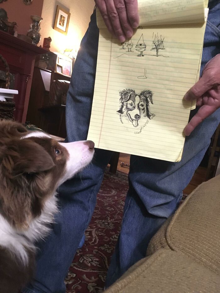 Man showing drawing of dog to pet dog in cozy living room, capturing dads and pets bonding moment inside home.