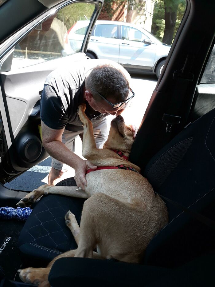 Dad lovingly embraces his dog sitting in a car seat, showing the bond between dads and pets they never wanted but now love