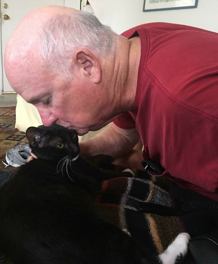 Older man in red shirt lovingly kissing his black and white cat, showcasing unexpected pet love from dads.