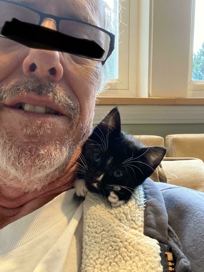 Older dad with gray beard cuddling a black and white kitten, showcasing dads and the pets they now love.