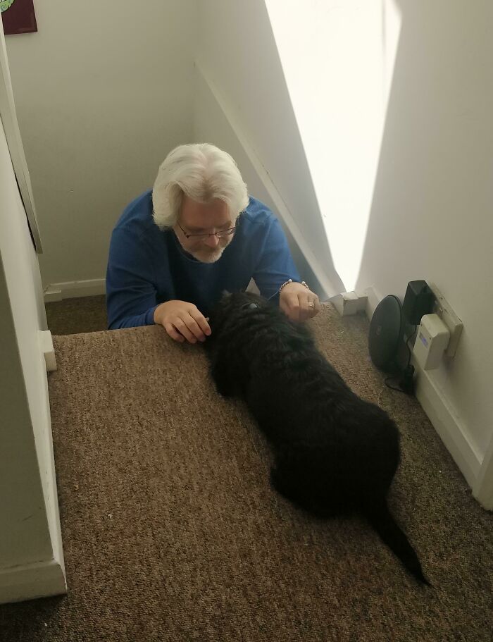 Older dad in blue shirt affectionately petting a black dog on carpeted stairs, showing bond between dads and pets they love.