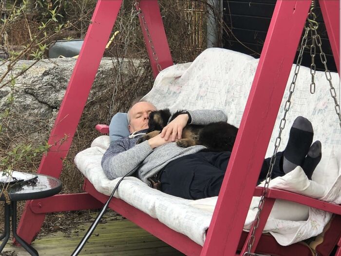 Man relaxing on outdoor swing holding a dog, showing bond between dads and pets they never wanted but now love