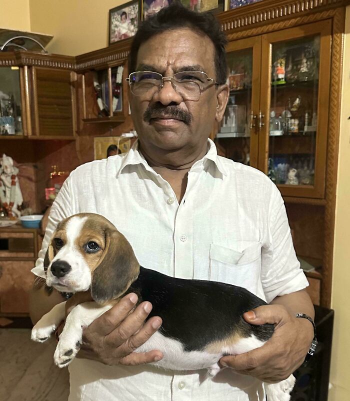 Man holding a beagle puppy indoors, showing the bond between dads and pets they never wanted but now love.