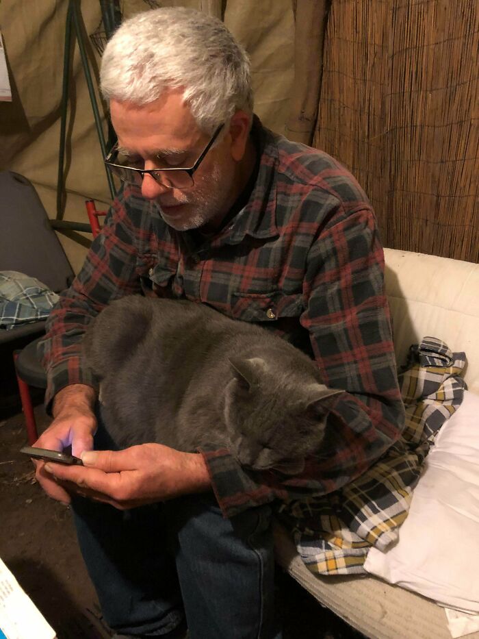 Man wearing glasses and plaid shirt sitting with a gray cat on his lap, showing the bond between dads and pets they love.