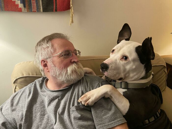 Man with gray hair and beard sitting on a couch with a black and white dog showing the bond between dads and pets.