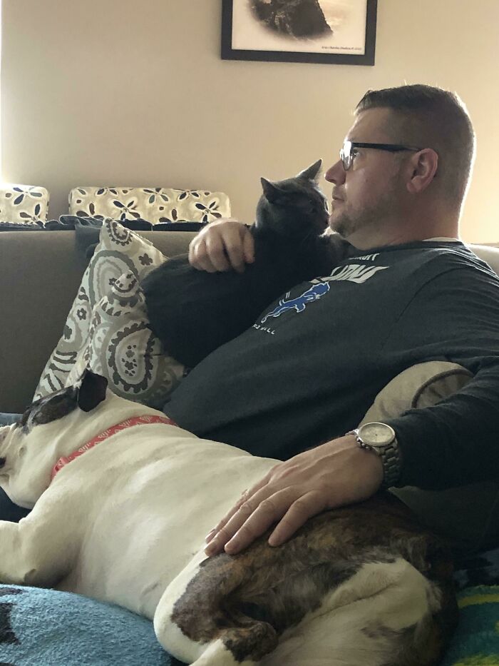 Man bonding with pets on couch, showcasing dads and pets they swore they never wanted but now love dearly.