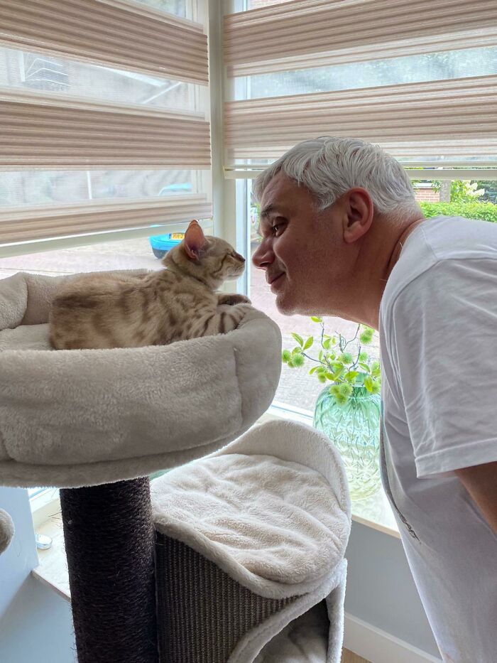 Man bonding with a cat on a cat tree, showing dads and pets they never wanted but now absolutely love.