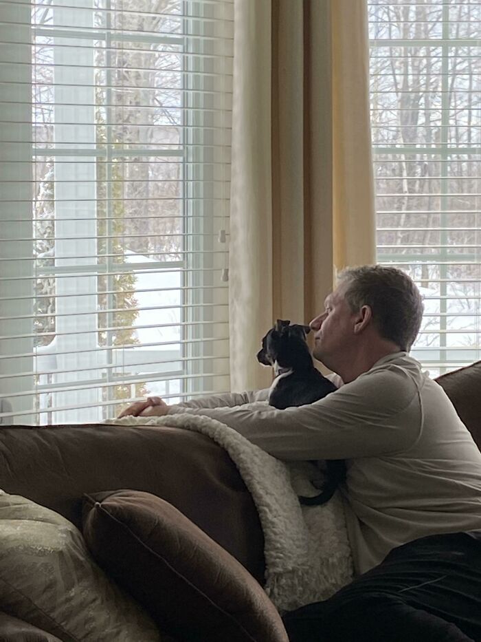 Man with pet dog looking out window on couch, showcasing dads and the pets they swore they never wanted but now love.