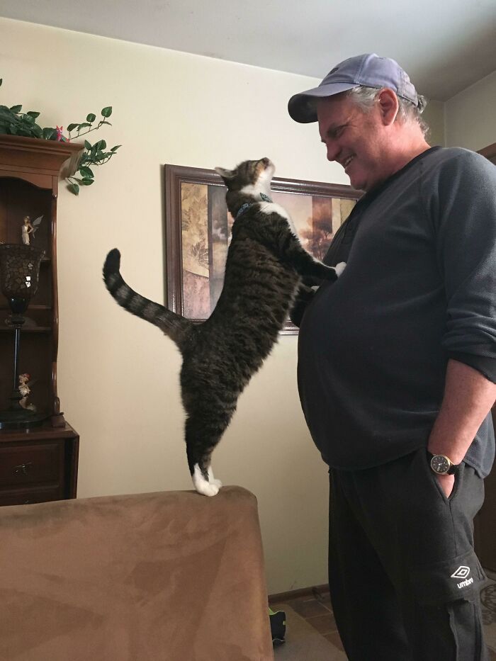 Man smiling at a cat stretching on a couch, showing the bond between dads and pets they never wanted but love.