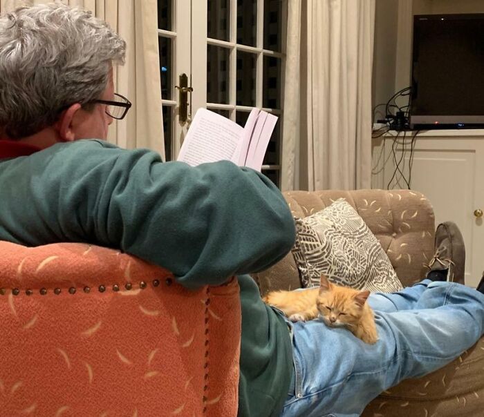 Man relaxing on chair reading a book with an orange cat lying on his lap showing dads and pets bonding moments.