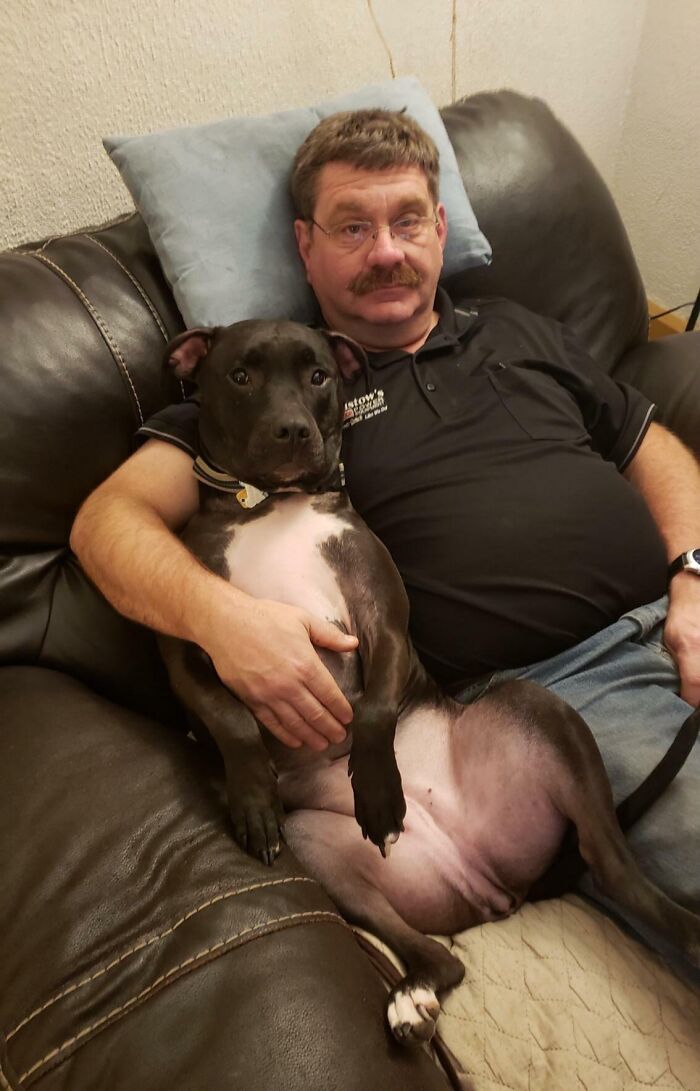 Man sitting on couch with a large black and white dog, showcasing dads and the pets they never wanted but now love.