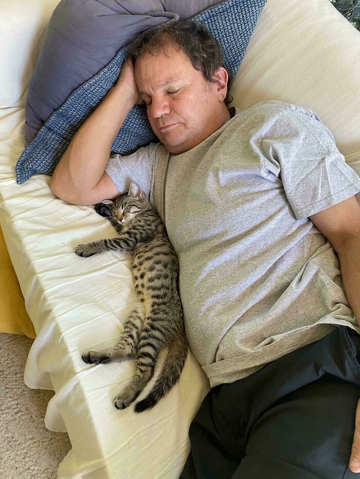 Man and pet cat napping together on a bed, showcasing dads and the pets they never wanted but now love.