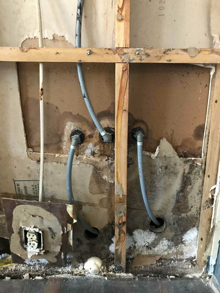 Exposed wall with damaged wiring and mold showing common issues people regretted after buying homes.