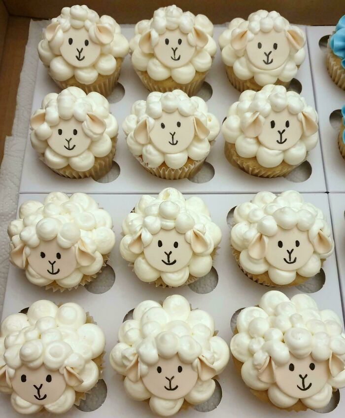 Cute lamb cupcakes with white frosting and detailed faces