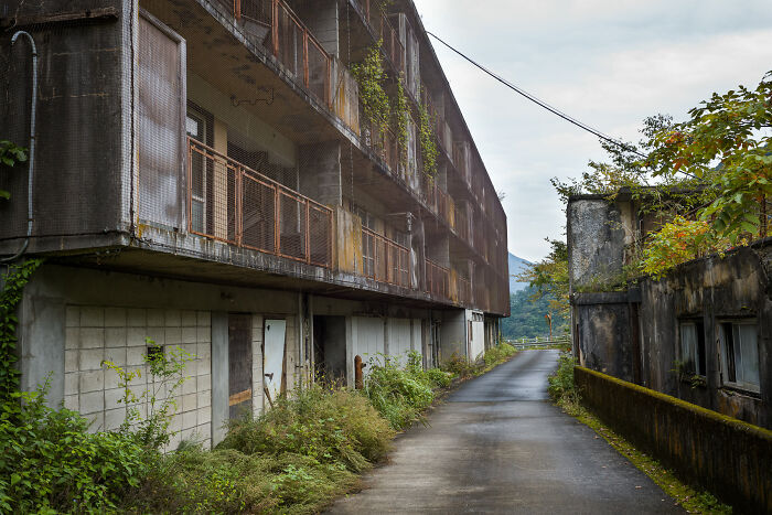 Abandoned urban hell building with rust and overgrown plants along road