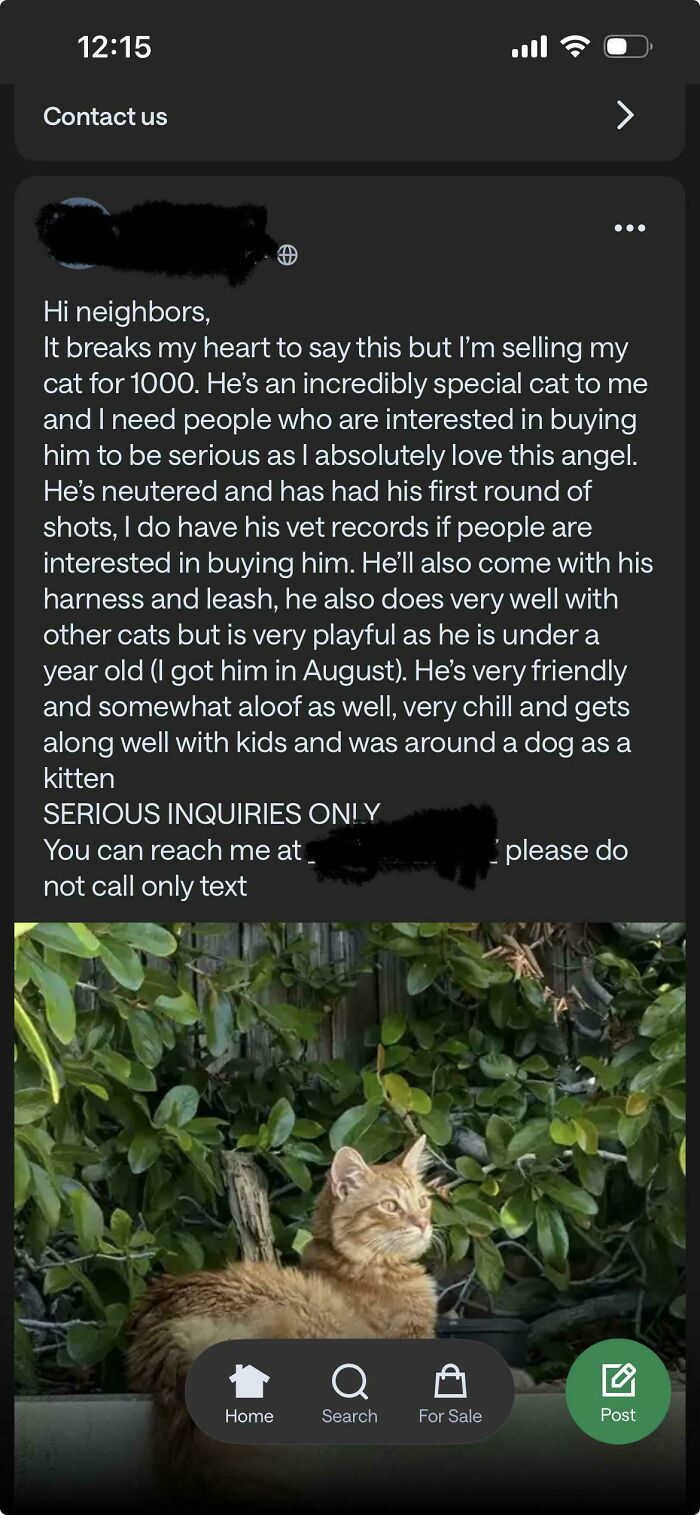Hilarious screenshot from a neighborhood online community showing a post about selling a cat for a high price.