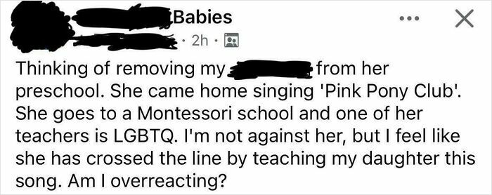 Screenshot of an unhinged post in a mom group discussing Montessori school and LGBTQ topics.
