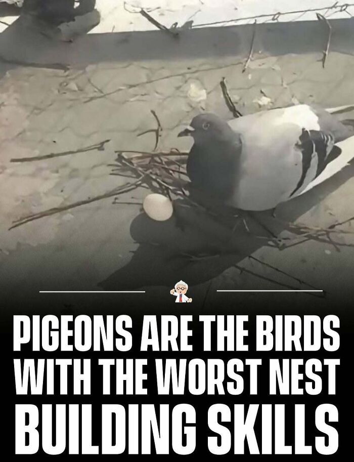 83 Cool Facts That Might Change How You See The World