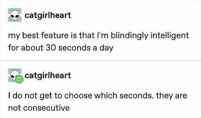 Tumblr post by user catgirlheart humorously describing brief moments of intelligence, showcasing Tumblr's unapologetic brilliance.