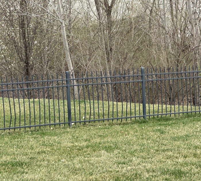 Black metal fence in a grassy yard with leafless trees behind, showing a neighbor setup that might inspire moving to the middle of nowhere