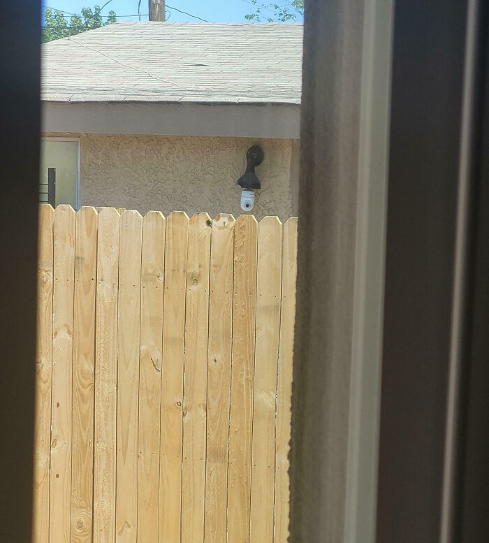 Surveillance camera peeking over a wooden fence with a house in the background in unusual neighbor scene.