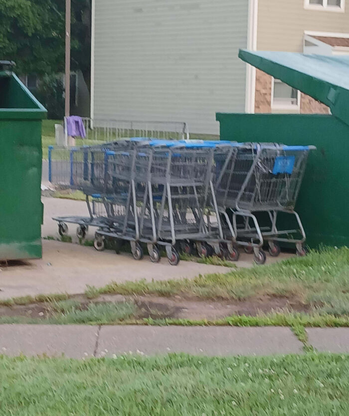 Abandoned shopping carts lined up next to dumpsters in a quiet neighborhood, reflecting unusual neighbors in remote areas.