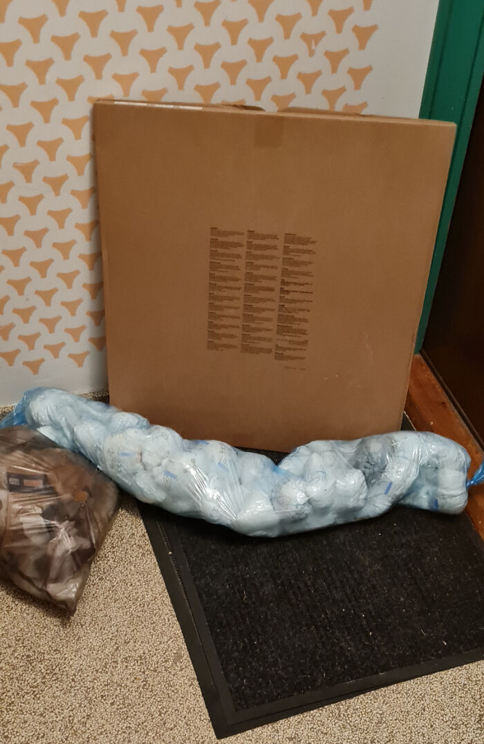 Large cardboard box and plastic bags filled with items, depicting unusual neighbors that might make you move to the middle of nowhere.