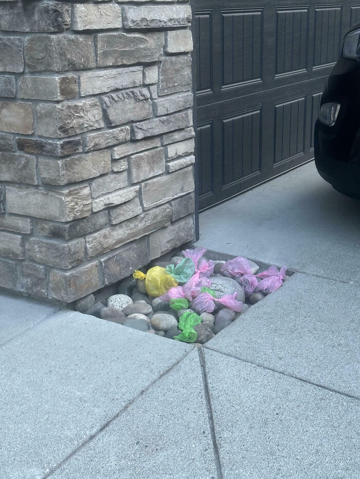 Plastic bags filled with rocks scattered near a stone wall and driveway, illustrating unusual neighbors in suburban settings.