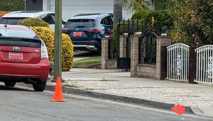 Street view with parked cars, orange traffic cone, and gated residential homes illustrating unusual neighbors concept.